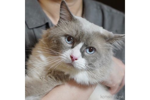 すな男くん1枚目